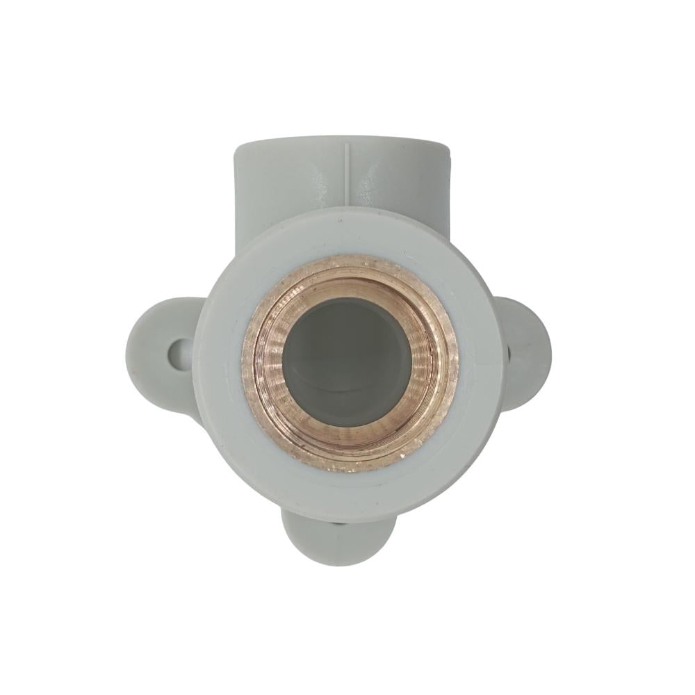 PPR Fittings: Wandscheibe IG-IG Rohr Schweißtechnik PP-R Rohrfitting Polypropylen Fitting