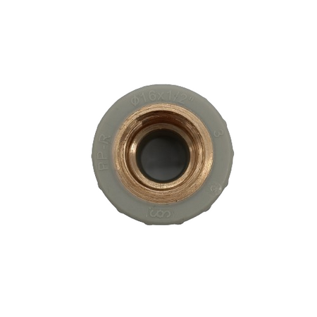 PPR Fittings: Übergang mit IG Rohr Schweißtechnik PP-R Rohrfitting Polypropylen Fitting